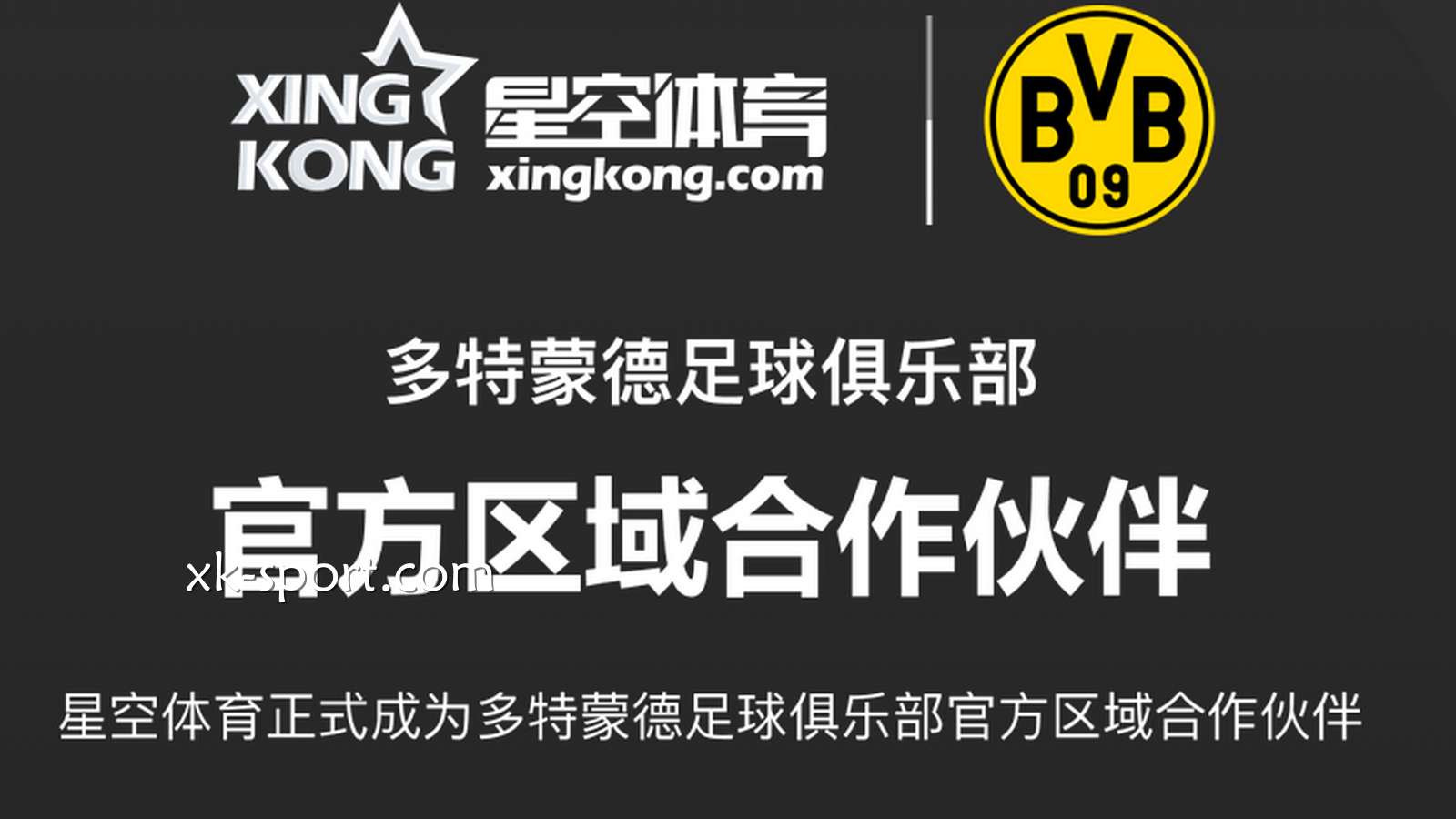 乐竞体育品牌赞助的多特蒙德俱乐部球星在世界杯中表现突出